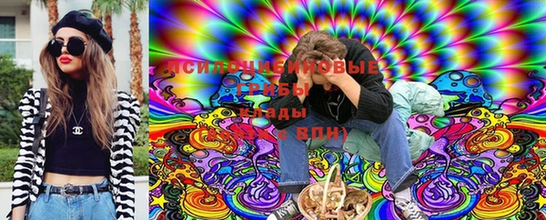 скорость Краснослободск